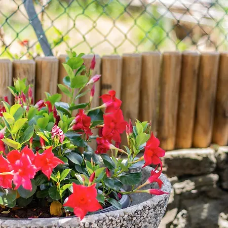 Panoramico * Gambarogno