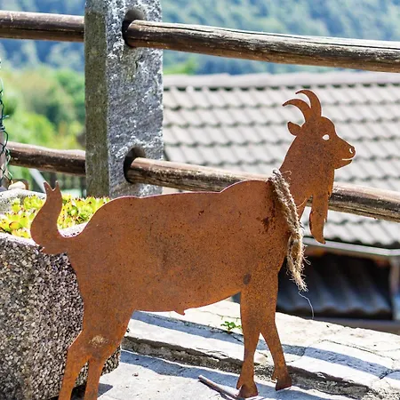 Panoramico Apartman *