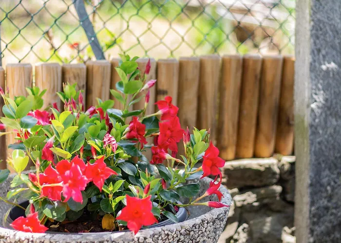 Panoramico * Gambarogno